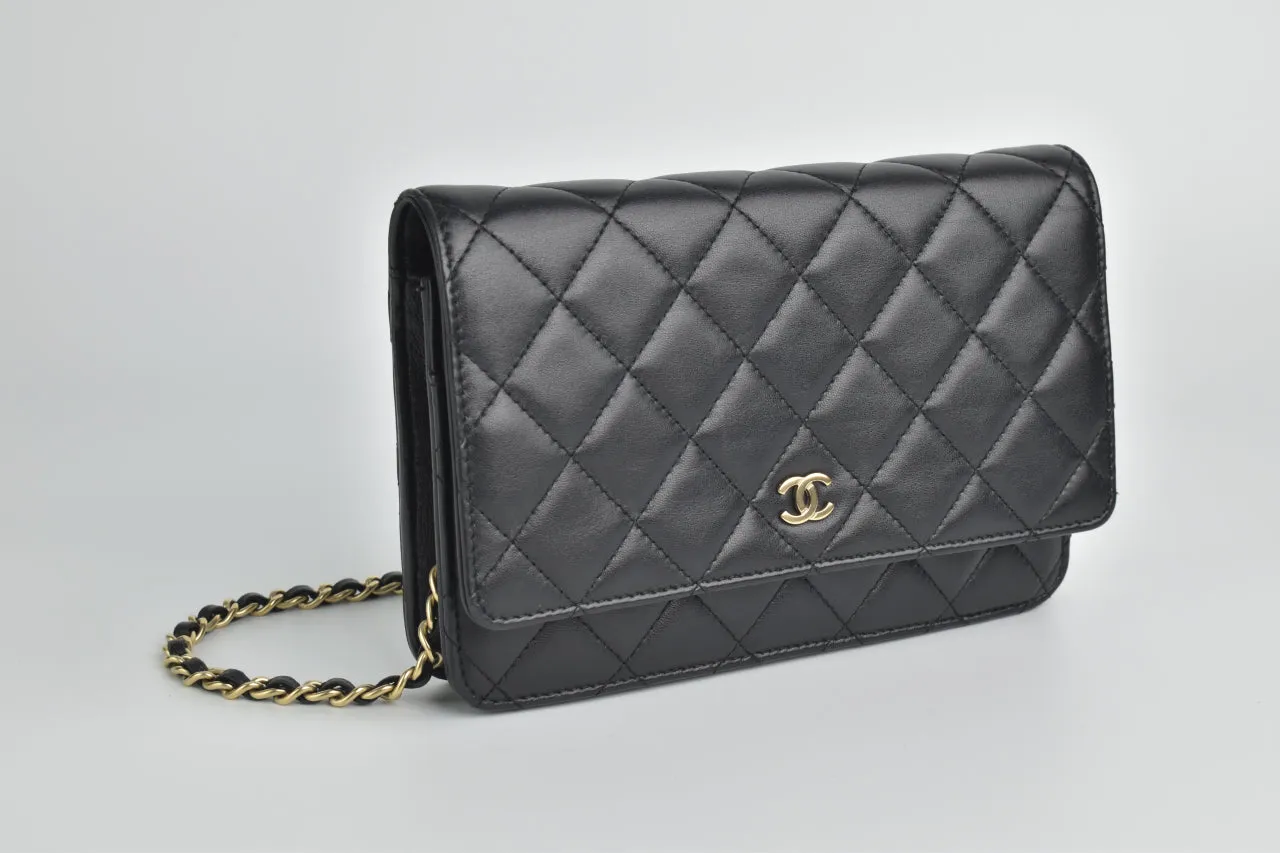 AP0250 Classic Black Lambskin WOC GHW