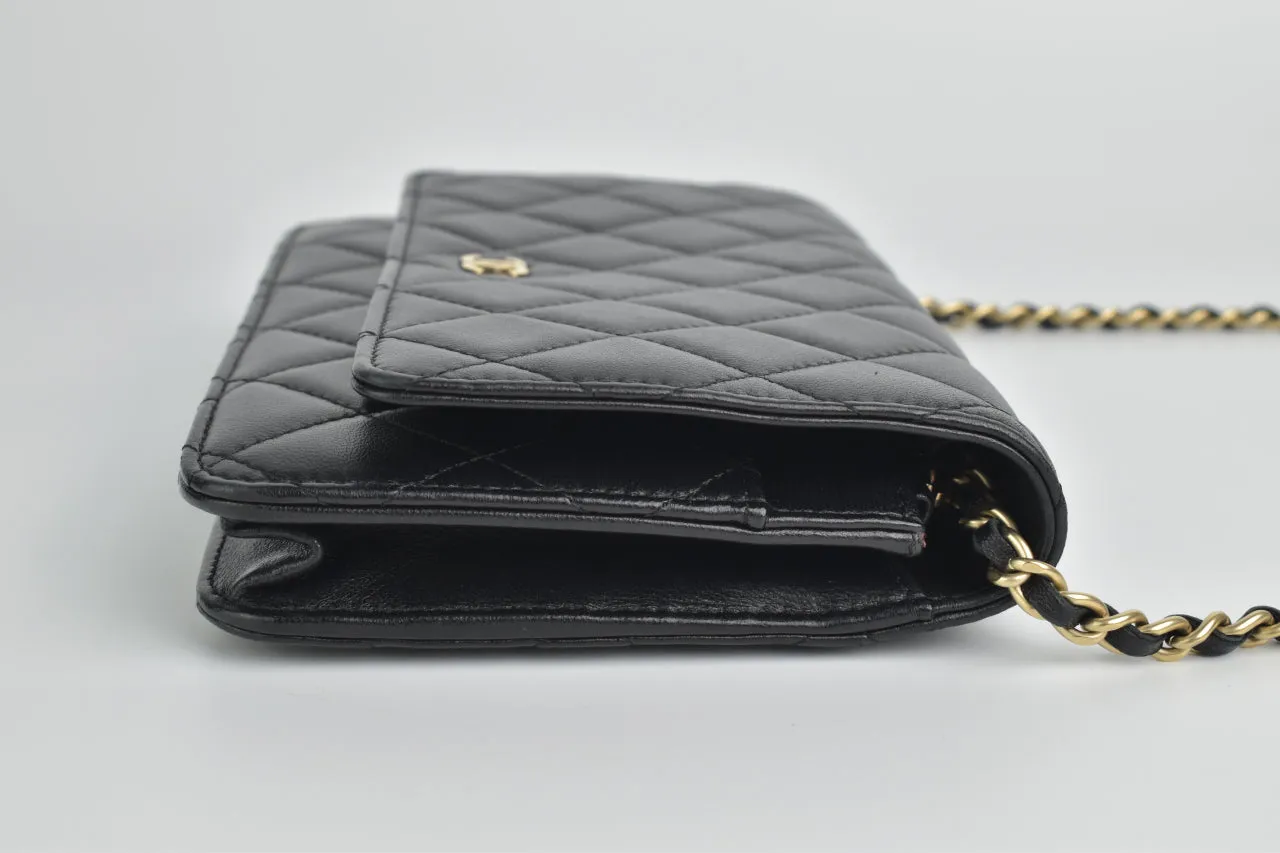 AP0250 Classic Black Lambskin WOC GHW