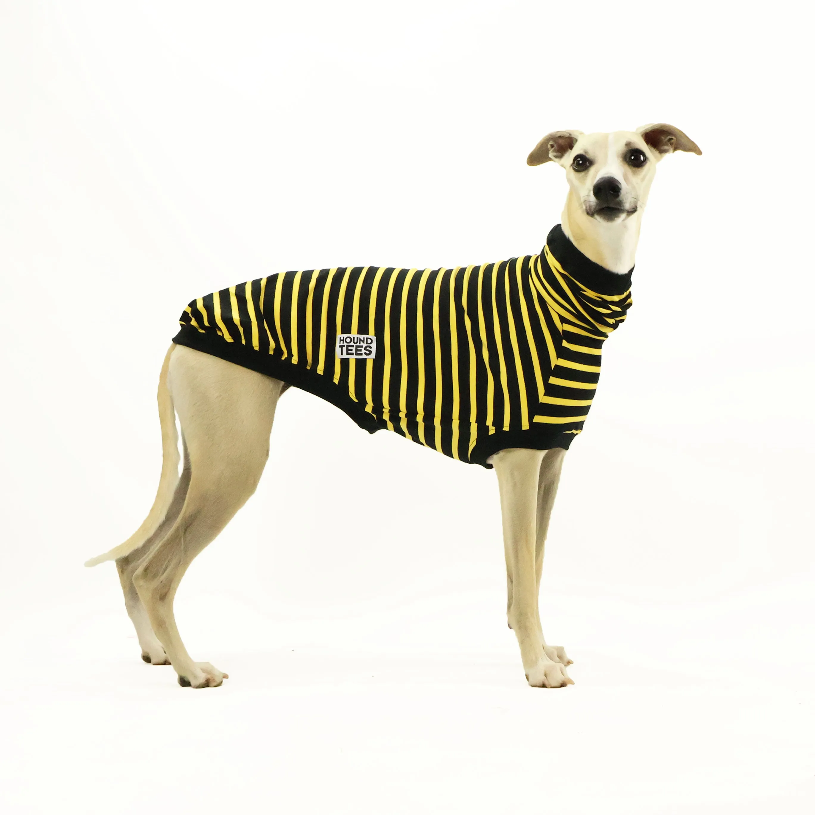 Bumble Whippet Sleeveless Hound-Tee