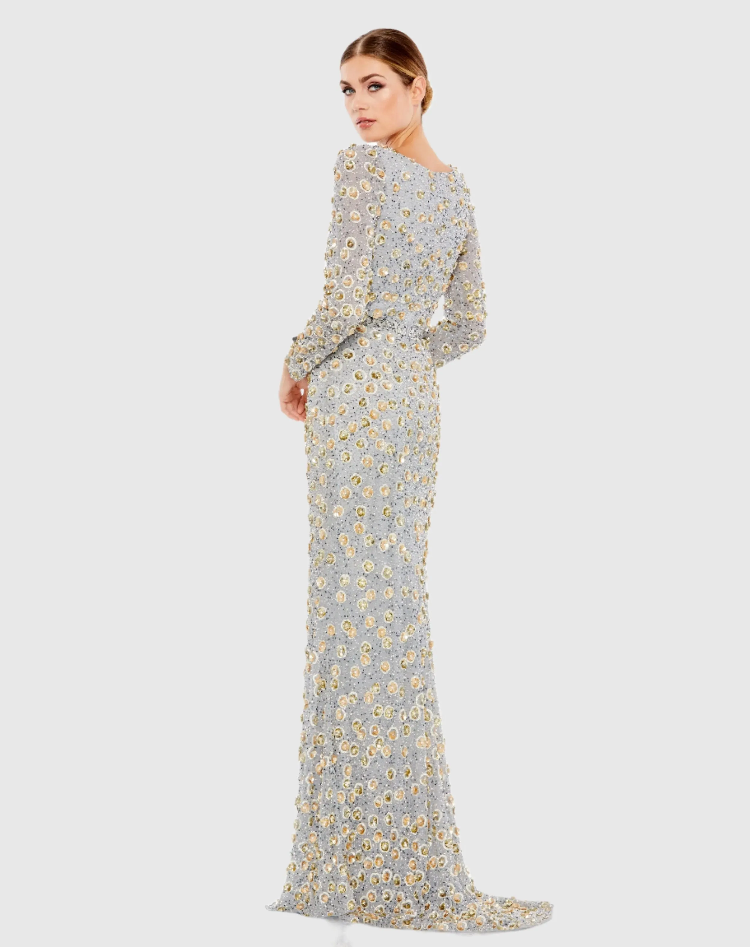 Embellished Long Sleeve High Neck Gown