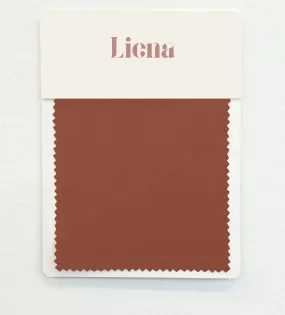 Satin Fabric Swatch Card - Rust