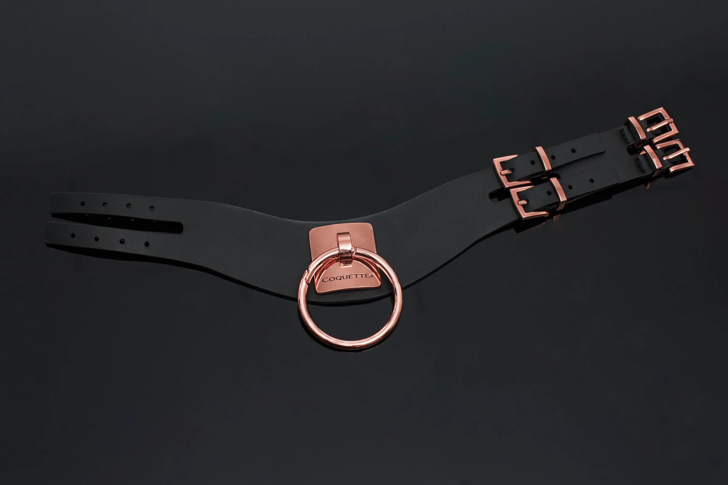 Vegan Leather Collar